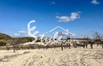 Resale - Land - Bullas - Costa Cálida