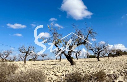 Resale - Land - Bullas - Costa Cálida