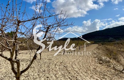 Resale - Land - Bullas - Costa Cálida