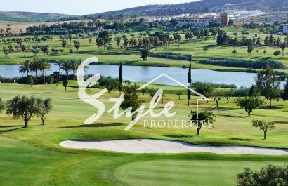 Reventa - Parcela - Algorfa