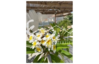 Resale - Villa - Torrevieja - San luis