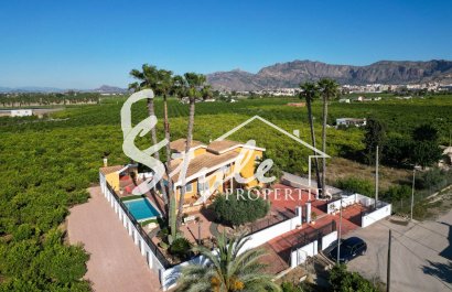 Reventa - Villa - Orihuela - Correntías Medias