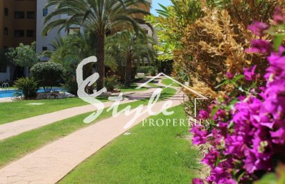 Reventa - Apartamento - Punta Prima - La Entrada