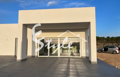 New build - Villa - Pinoso