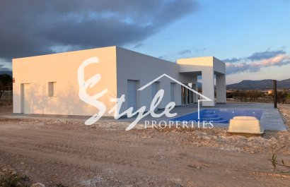 New build - Villa - Pinoso