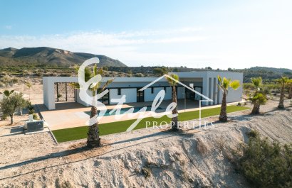 Nuevo - Villa - Alicante - Pinoso