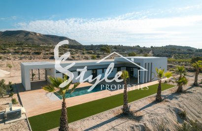 Nuevo - Villa - Alicante - Pinoso