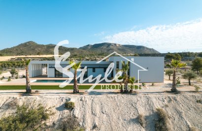 Nuevo - Villa - Alicante - Pinoso