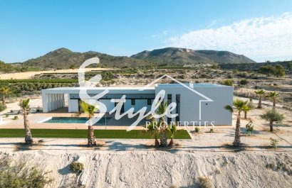 Nuevo - Villa - Alicante - Pinoso