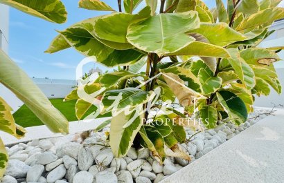 Resale - Adosado - Torrevieja - La Veleta