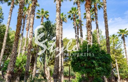 Resale - Apartamento - Torrevieja