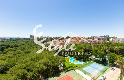 Reventa - Apartamento - Campoamor - Dehesa de Campoamor