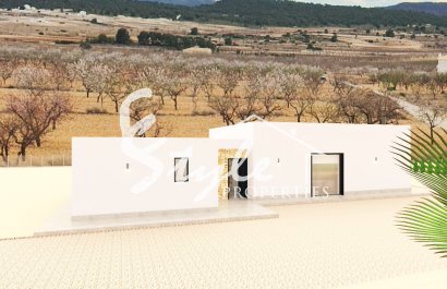 New build - Villa - Alicante - Pinoso