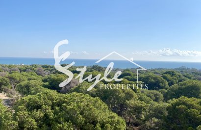 Nuevo - Apartamento - Guardamar - Guardamar del Segura