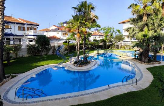 Studio - Вторичное жилье - Торревьеха - Торревьеха