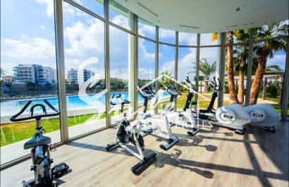 Nuevo - Apartamento - Villamartin