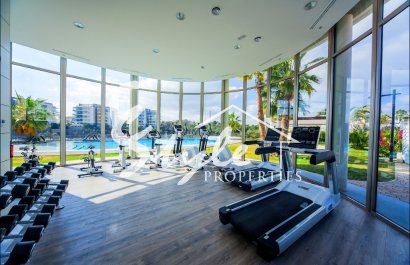 Nuevo - Apartamento - Villamartin