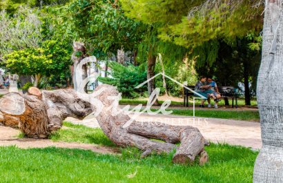 Вторичное жилье - Апартаменты/Квартира - Торревьеха - Калас Бланкас