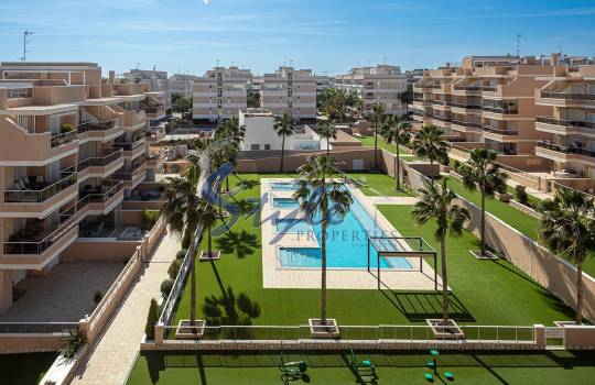 Apartment - Resale - Villamartin - Villamartin