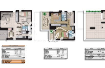 Nuevo - Villa - Ciudad Quesada