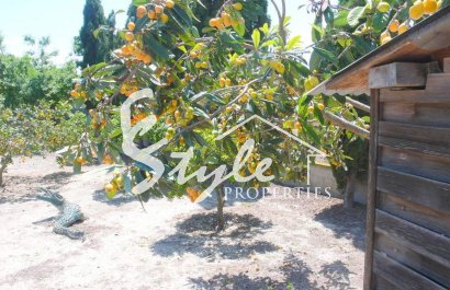 Вторичное жилье - Finca Country Property - Долорес