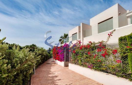 Town House - Short Term Rentals - Punta Prima - Punta Prima Town House - Short Term Rentals - Punta Prima - Punta Prima