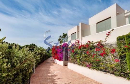 Town House - Short Term Rentals - Punta Prima - Punta Prima