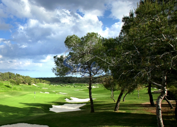 Купить новую виллу в Las Colinas Golf на Коста Бланке. ID ON1126_43