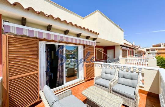 Apartamento - Alquiler corta estancia - Playa Flamenca - Zeniamar